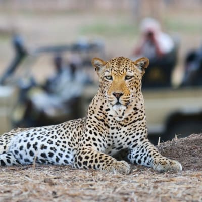 Lower Zambezi National Park image