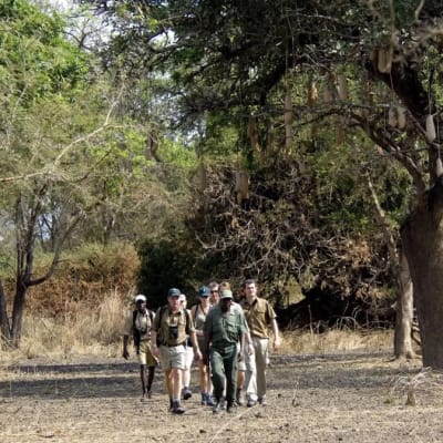 Lusaka National Park image