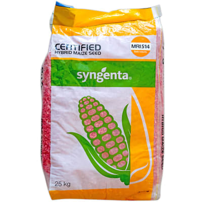 Certified Hybrid Maize Seed MRI 514 image