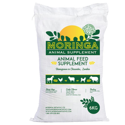Moringa Animal Feed Supplement image