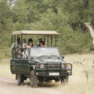 Livingstone Activities - Tours & Game drives image