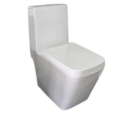 Washdown One Piece Toilet - White image