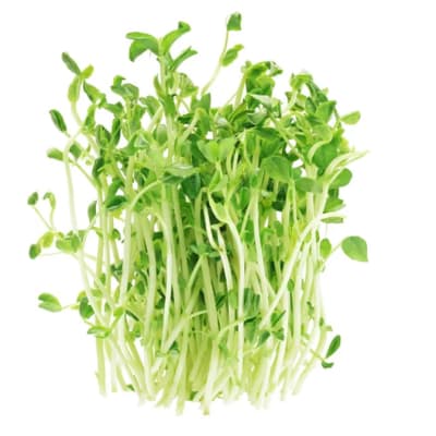Pea Shoots image
