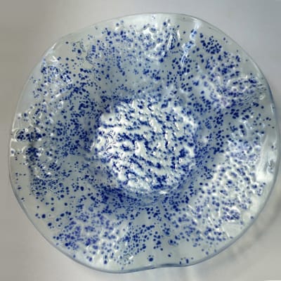 Plate Light blue with dark blue sprinkling image