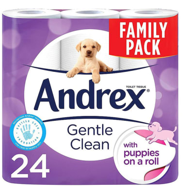 Toilet Tissue - Andrex Toilet Roll Family Pack 24s image