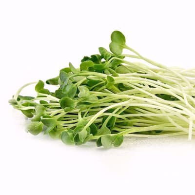 Radish Shoots image