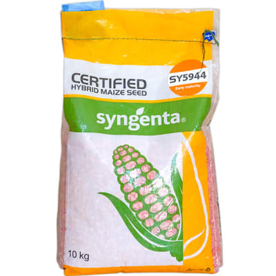 Certified Hybrid Maize Seed SY 5944 TRD676 image