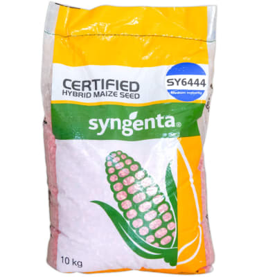 Certified Hybrid Maize Seed SY 6444 image