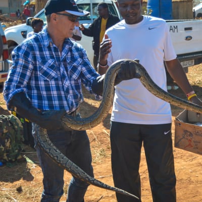 Snakes Alive Zambia Education & Conservation (SAZI) image