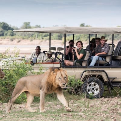 South Luangwa National Park image