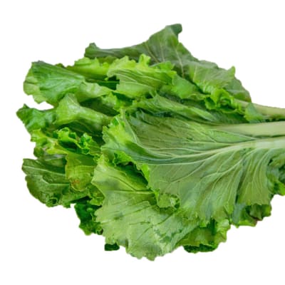 Bunch of Spinach image