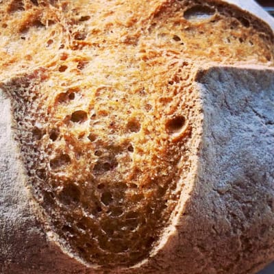 German wheat buns, 5 in one bag or 7/each image
