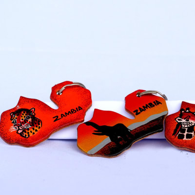 Hand painted leather key rings image