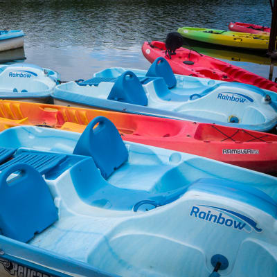 Water Activities: Paddle Boats image