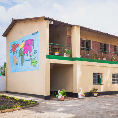 Tree Tops primary and Junior Secondary School image