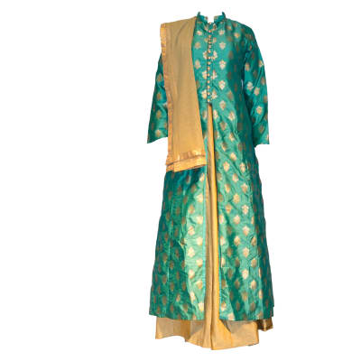Punjabi Dress Suit green and gold image