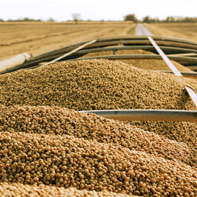 Zamanita Ltd image