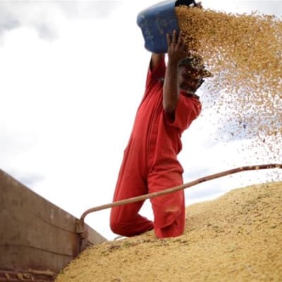 Zamanita Ltd image