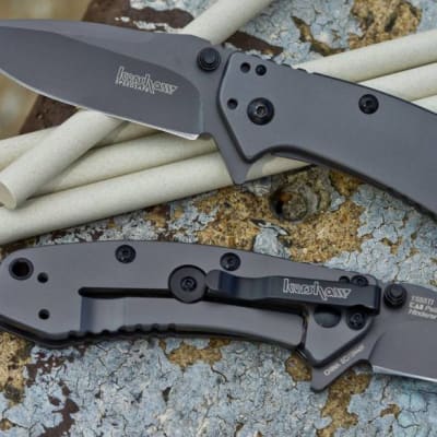 Zambezi Arms and Ammunition Ltd image