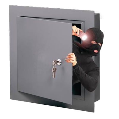 Zamsafes and Alarms image