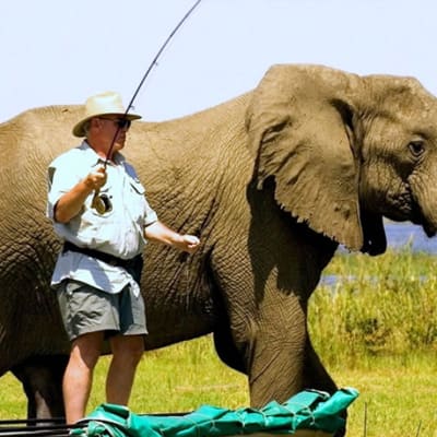 Chiawa Safaris image