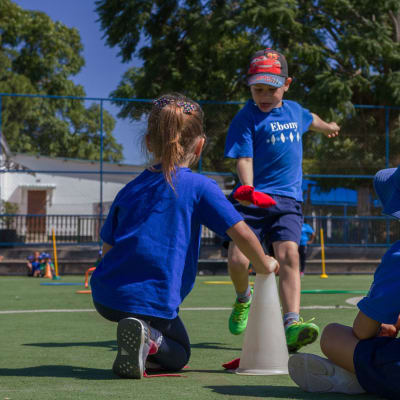 Pre-Primary School Tuition Fees per Annum - Blue & Red     image