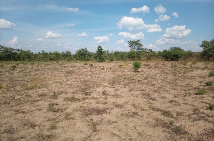 1.2 Ha Vacant Land for Sale in Silverest - K350,000