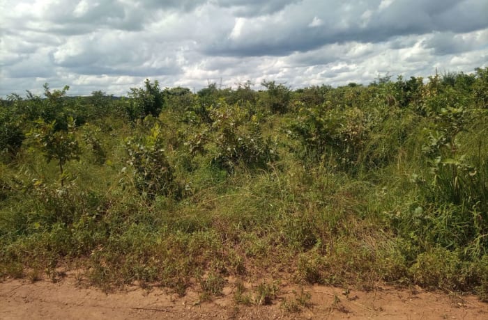 2.6 Ha Vacant Land for Sale in Lusaka - K300,000 