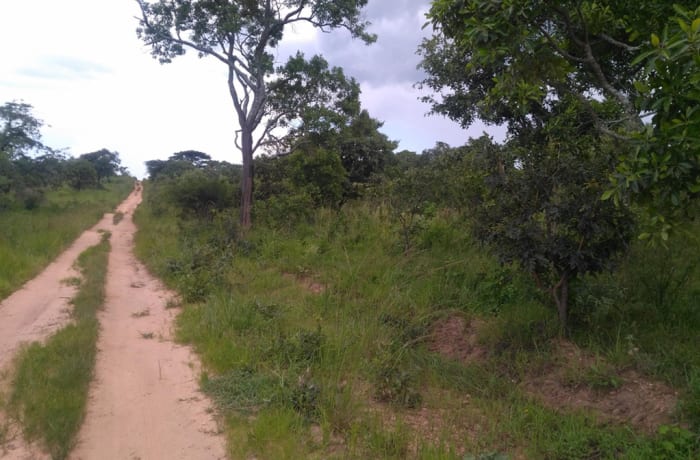 200 Ha Vacant Land for Sale in  Mkushi - $117,619