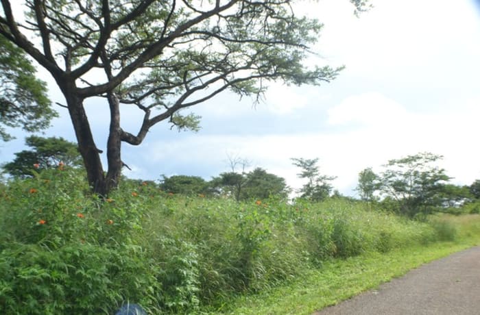 Plots for Sale in Mukamunya Estate - $110,000