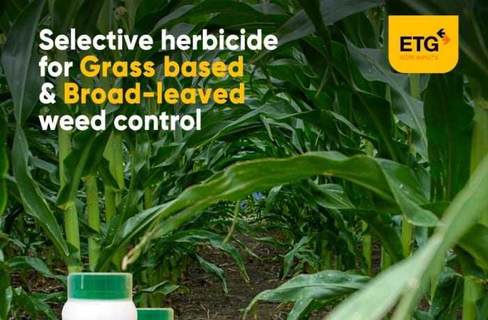 ETG brings you a perfect herbicide for your maize field image