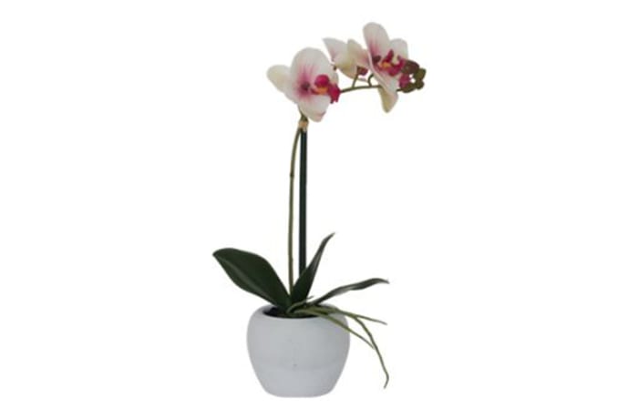 White and Pink Real Touch Orchid  - 51cm   