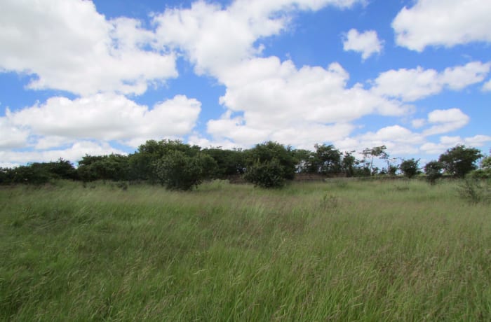 35m X 25m Plot for Sale in Meanwood  - K500,000