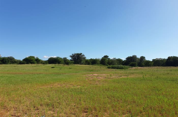 631 Ha Vacant Land for Sale, Mpika  - K1,600,000