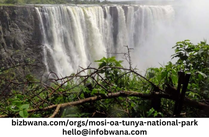 Mosi-Oa-Tunya National Park is located near Livingstone in Zambia and is renowned for its stunning natural beauty and diverse wildlife. image