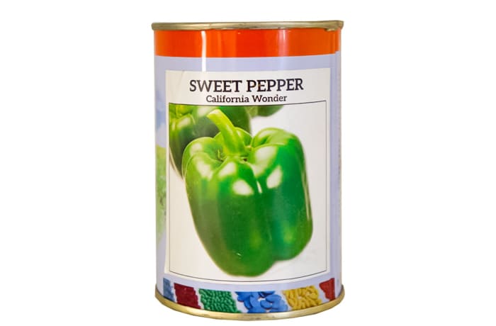  California Wonder  Sweet Bell Pepper Seeds