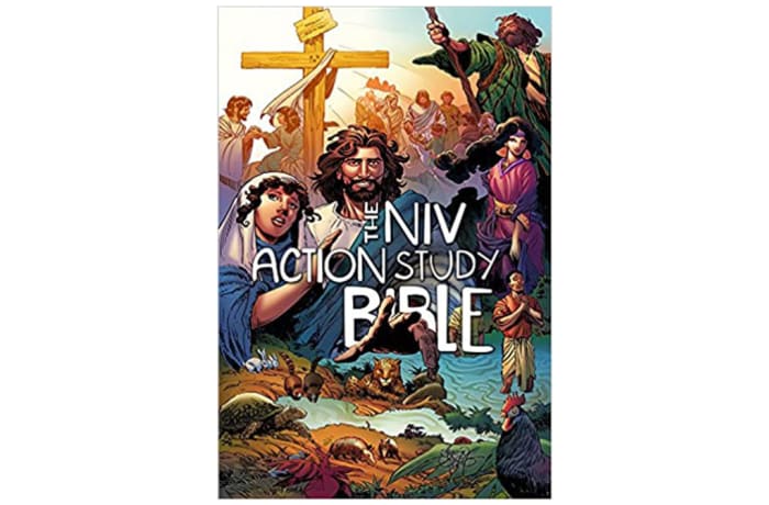 The Niv Action Study Bible