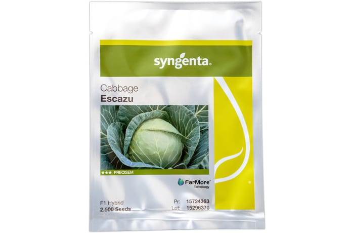 Escazu Hybrid  Cabbage Seeds