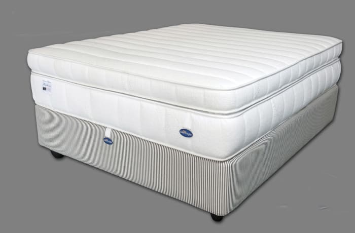 Beethovan Bed