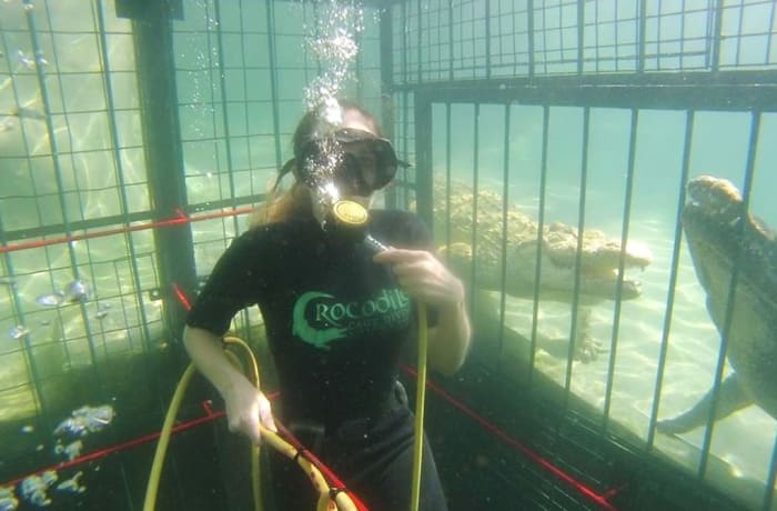 Crocodile Cage Dive