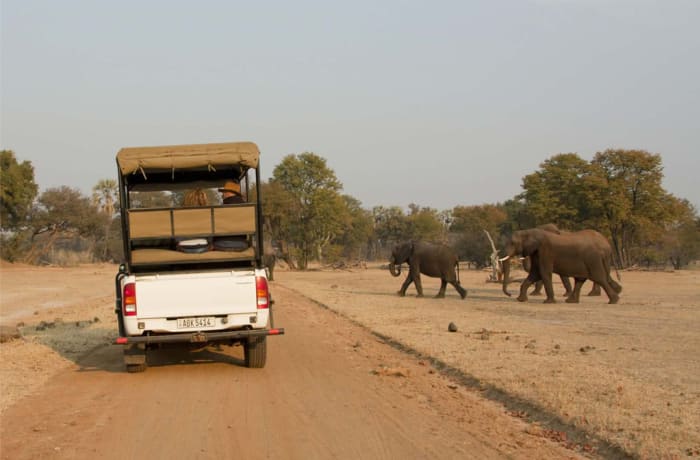 Mosi-oa-Tunya National Park Game Drive