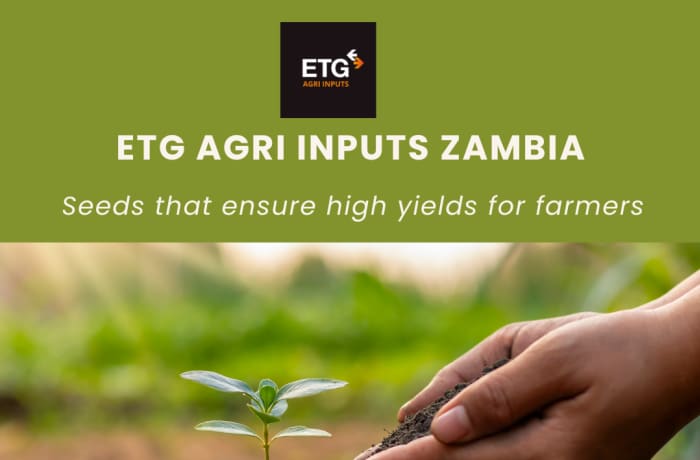 ETG Agri Inputs Zambia offers you the best seed varieties on the market  image