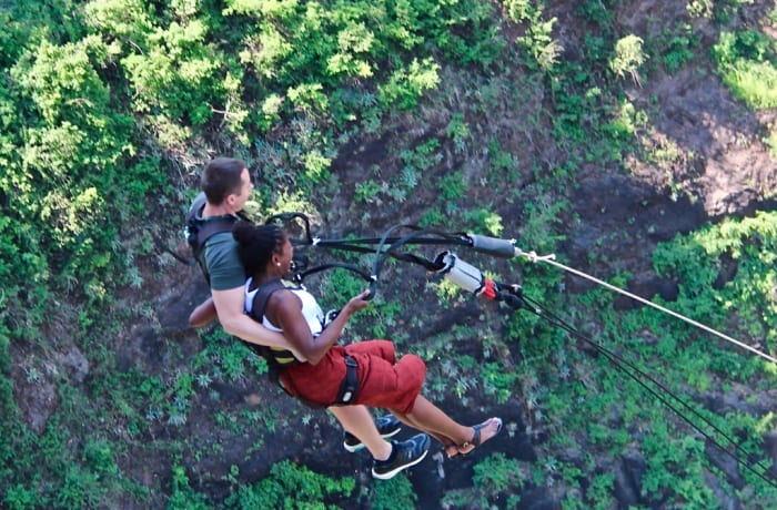 Bridge Swing