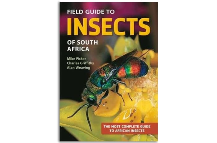 Field Guide  to Insects of South Africa