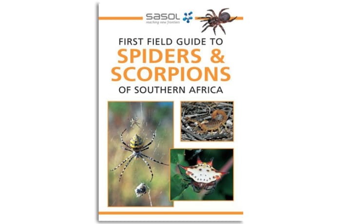 Sasol  First Field Guide to Spiders & Scorpions of Southern Africa 
