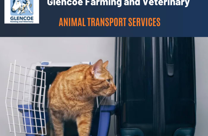 Animal transport services for household pets and exotic animals image