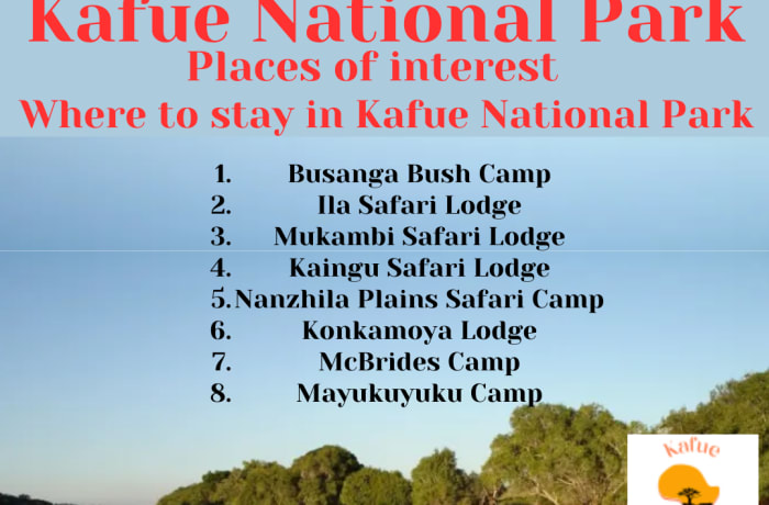 Kafue National Park in Zambia offers a variety of exciting safari activities for visitors to explore its diverse ecosystems and wildlife. image