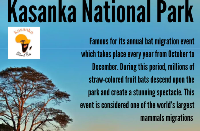 Kasanka National Park is a national park located in Serenje, Zambia. It is known for its diverse wildlife and pristine natural beauty.  image