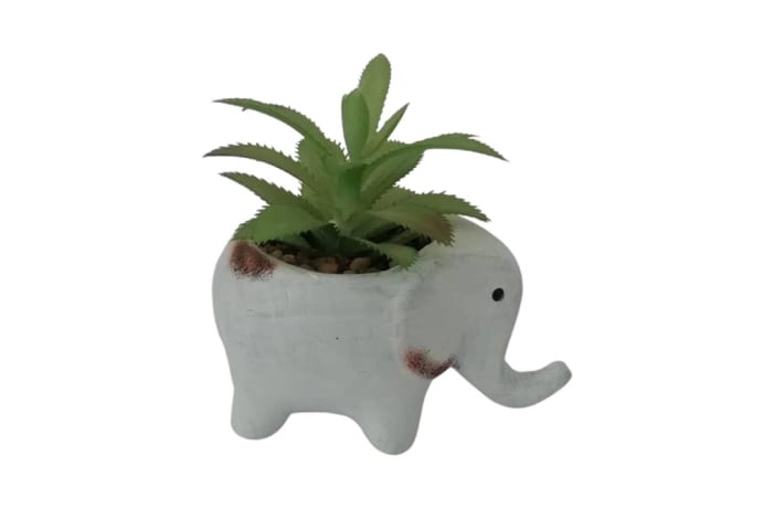 Succulent in Cement Elephant  - 13x12.5cm