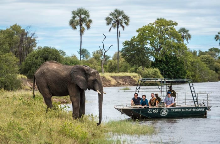 Victoria Falls River Safaris